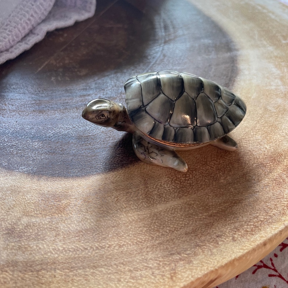 Limoges Turtle